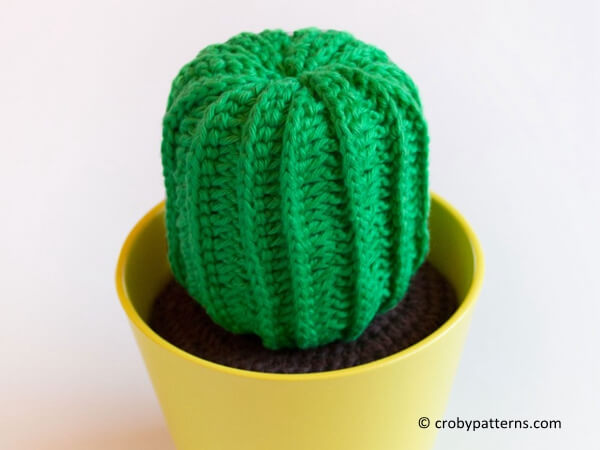 Crochet Cactus