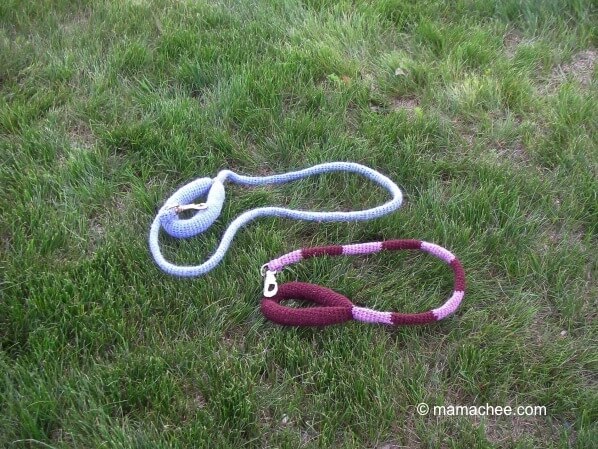 Dog Leash