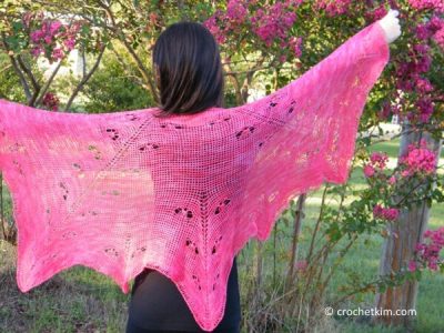 Mariposa Lace Shawl