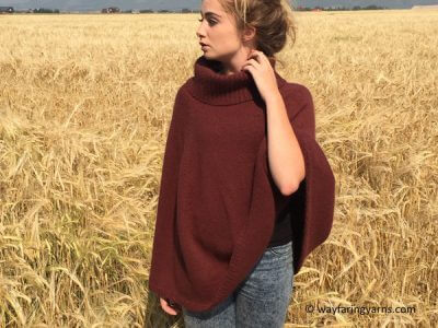 Autumn in Alta Poncho