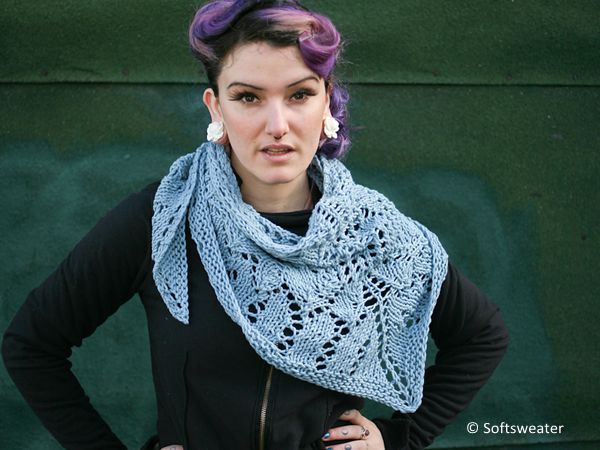 Common Bean Shawl
