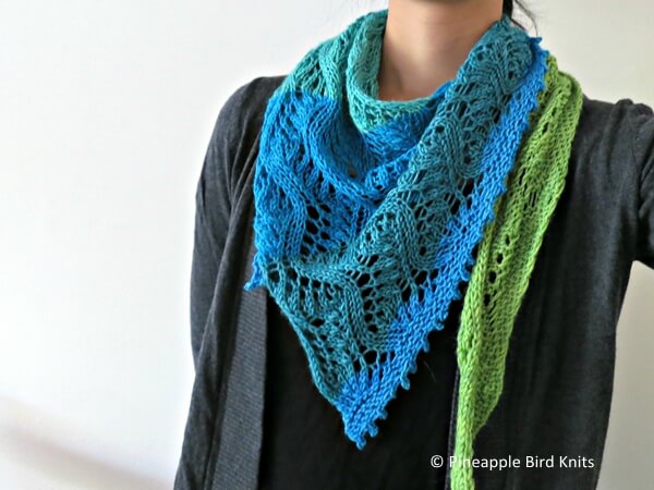 The Kohi Shawl