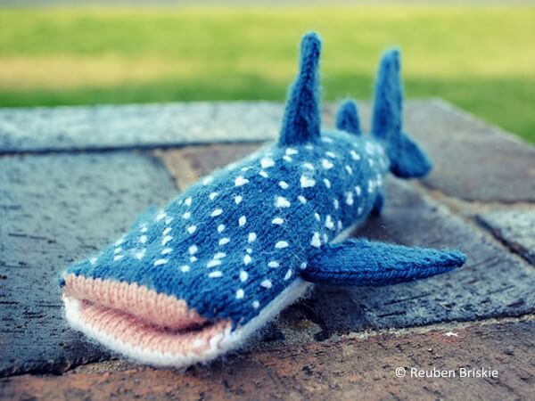 Whale Shark iPhone Cover