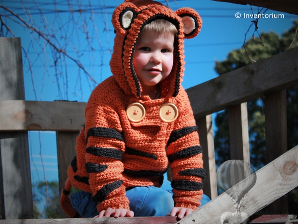 Boys Cute Tiger Sweater