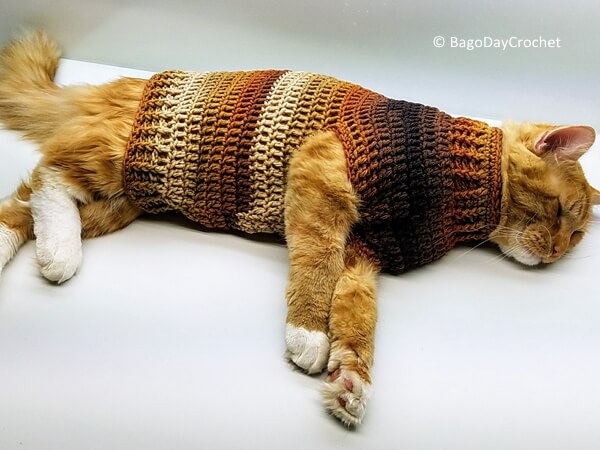 Stevens Striped Cat Sweater