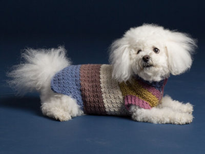 Textured Dog Coat