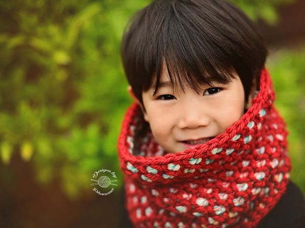 Honey Bee Cowl