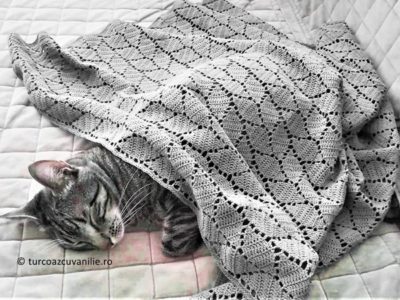Crochet leafy baby blanket