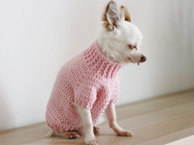 CROCHET Toy Chihuahua Sweater PATTERN