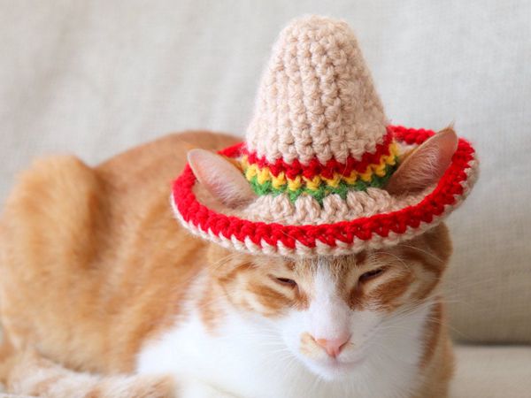 Crochet Cat Sombrero easy pattern