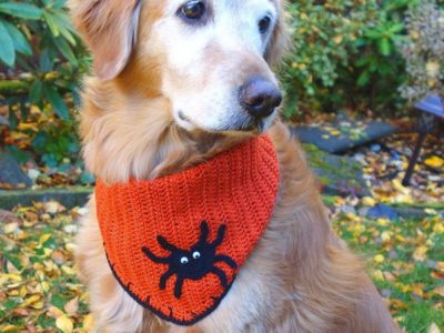 crochet Halloween Dog Bandana free pattern
