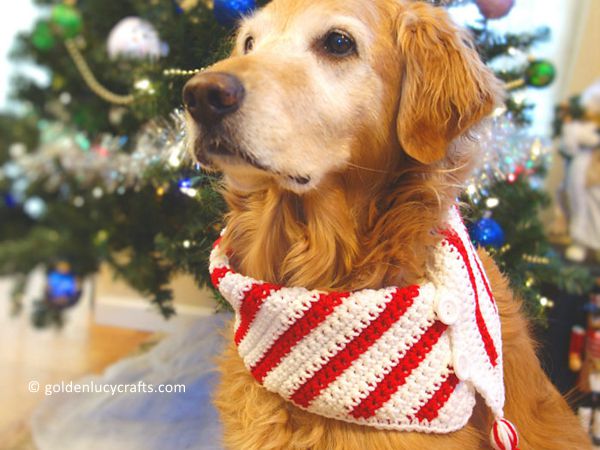 crochet Christmas Dog Scarf free pattern