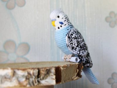 Crochet budgie easy Pattern