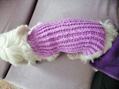 crochet Lilly Winter Puppy Sweater pattern
