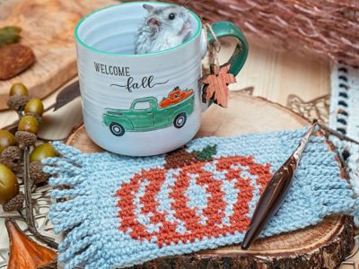 Pumpkin Mug Rug Crochet Coaster free pattern