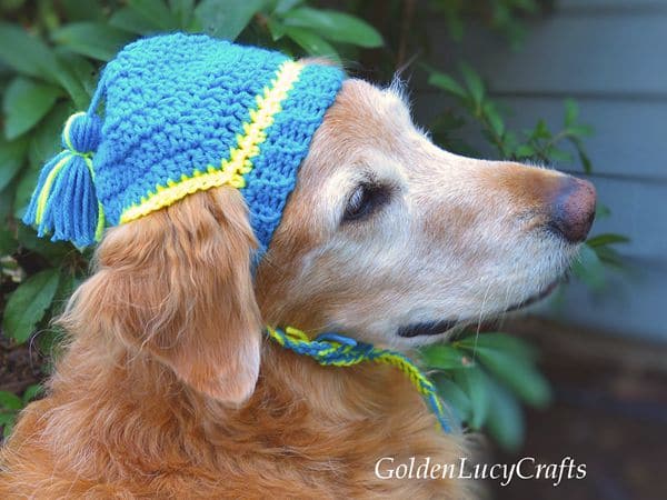 crochet Dog Hat free pattern