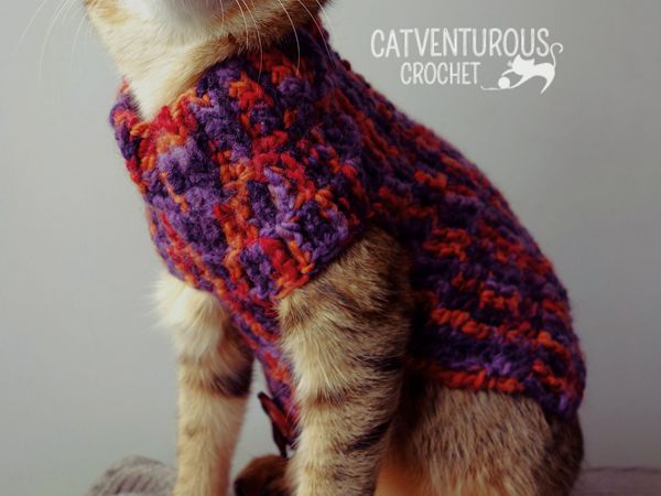 crochet Shishi Button Up Cat Sweater free pattern