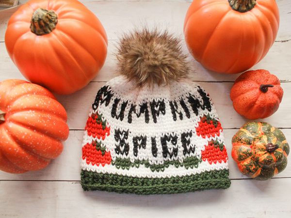 crochet Pumpkin Spice Beanie free pattern