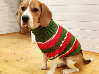 crochet Christmas Dog Sweater easy pattern