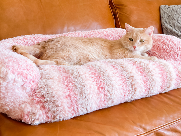 crochet Peanuts Cat Couch free pattern