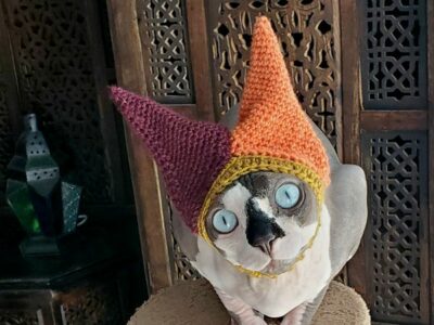 crochet Hennin Cat Hat free pattern