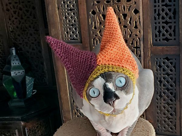 crochet Hennin Cat Hat free pattern