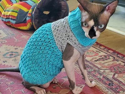 crochet Alpine Cat Sweater free pattern