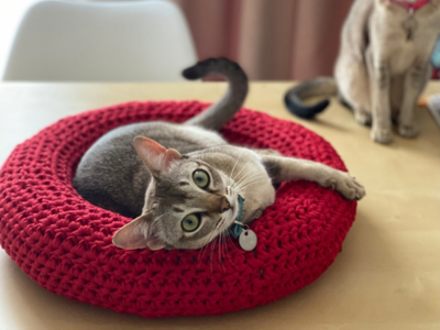 crochet Doughnut Pet Bed easy pattern