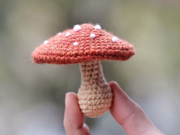 crochet Mushroom Amigurumi free pattern